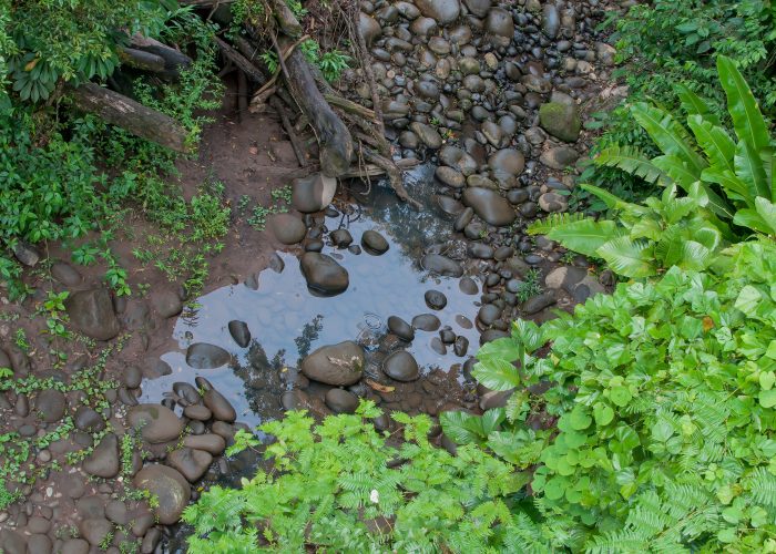 Empowering Communities for Water Security