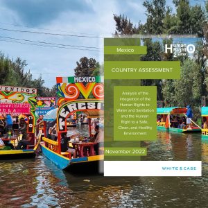 Mexico HRHE Report